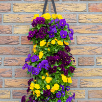 Wandhanger viool 'Fire mix'