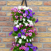 Wandhanger viool 'True Blue mix'