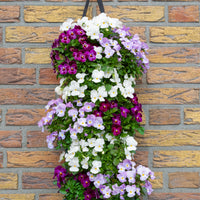 Wandhanger viool 'Pink mix'