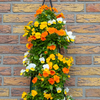 Wandhanger viool ´Easter mix´