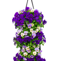 Wandhanger viool 'Blue mix'
