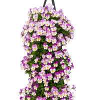 Wandhanger viool 'Rose Wing'