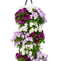 Wandhanger viool 'Pink mix'