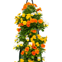 Wandhanger viool ´Easter mix´