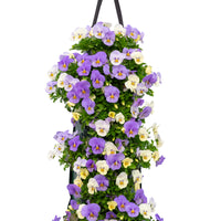 Wandhanger viool 'YTT'