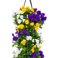 Wandhanger viool 'Carnaval mix´