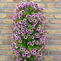 Wandhanger 'Littletunia Pink Splash´