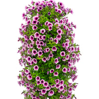 Wandhanger 'Littletunia Pink Splash´