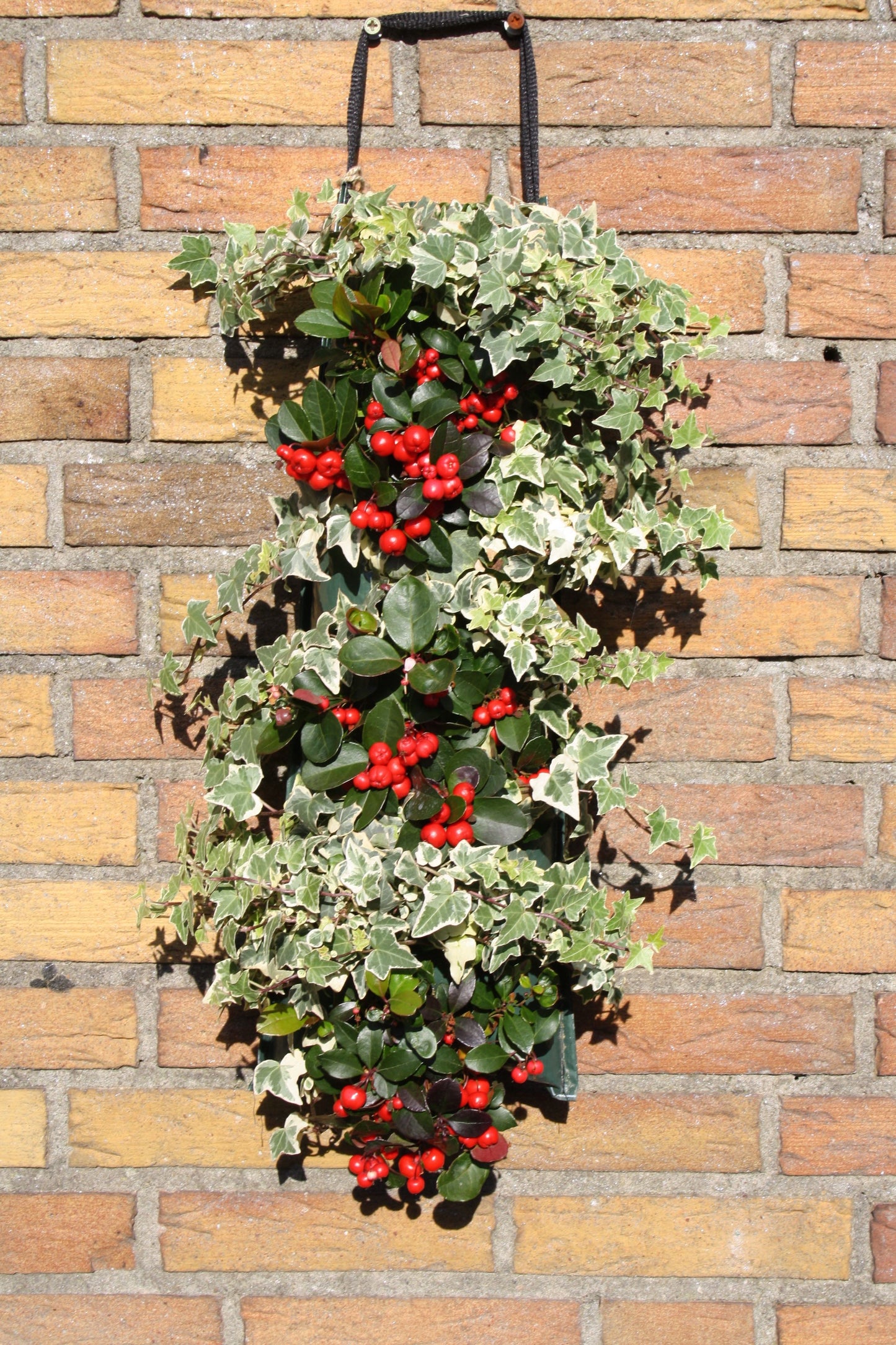Kerstwandhanger zonder verlichting (PRE-ORDER)