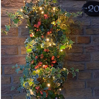 50 led verlichting