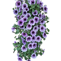 Wandhanger 'Petunia Purple'