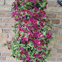 Wandhanger 'Million Bells Good Night Kiss'