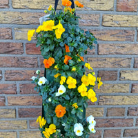 Wandhanger viool ´Easter mix´