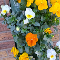 Wandhanger viool ´Easter mix´