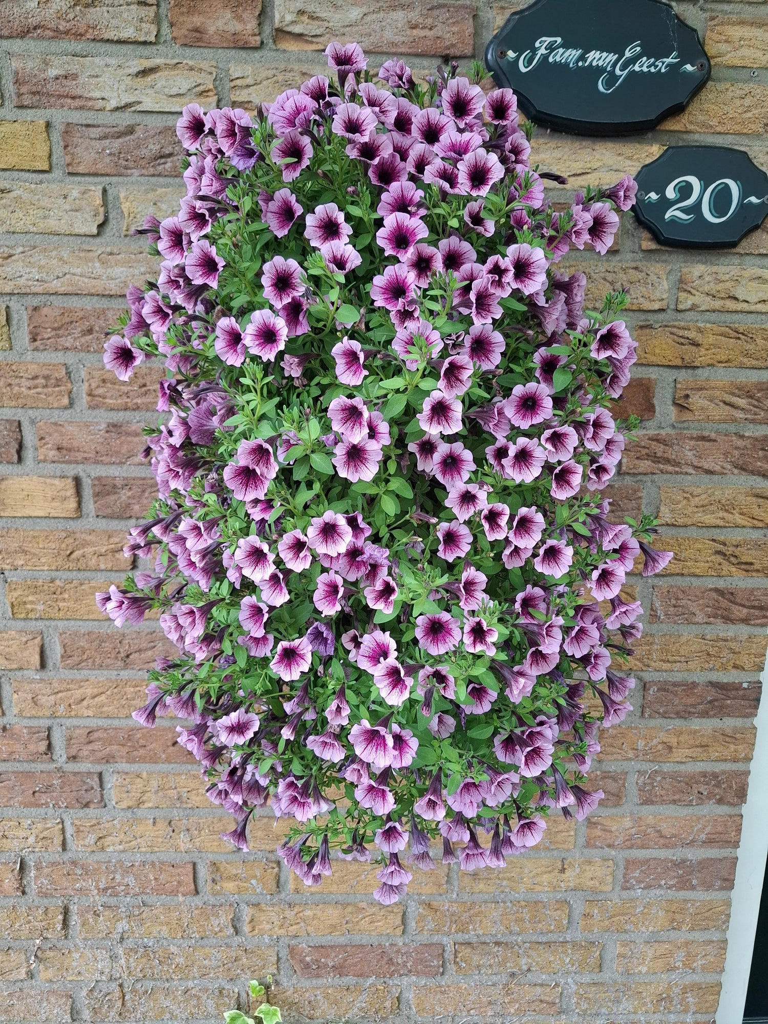 Perkgoed wandhangers (Mei 2026)