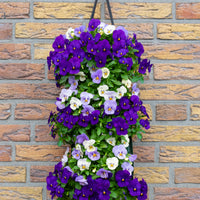 Wandhanger viool 'Blue mix'