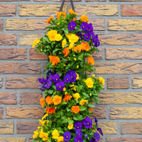 Wandhanger viool ´Tropical´