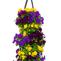 Wandhanger viool 'Fire mix'