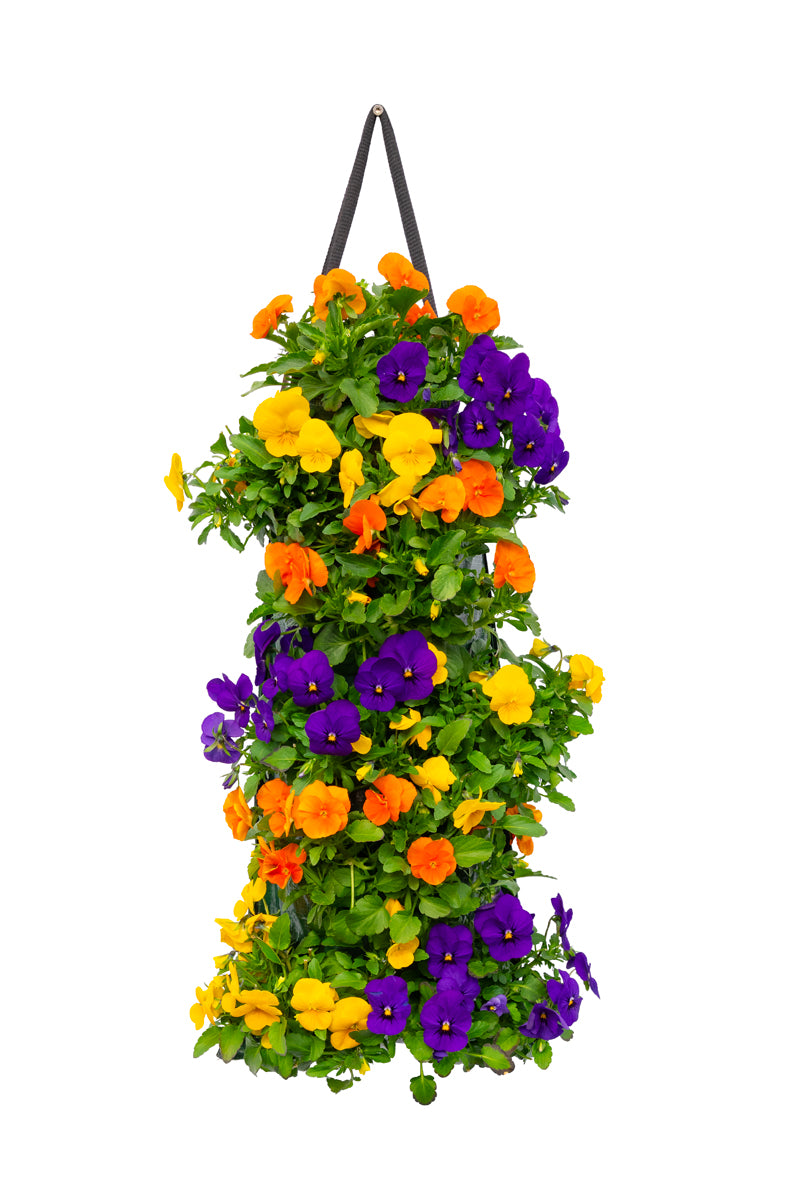 Wandhanger viool ´Tropical´