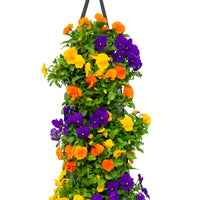 Wandhanger viool ´Tropical´