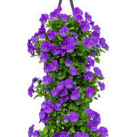 Wandhanger Viool 'True Blue'