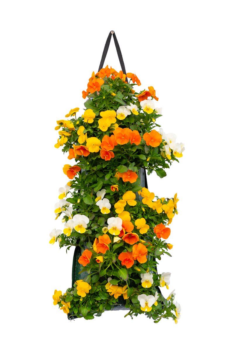 Wandhanger viool ´Easter mix´