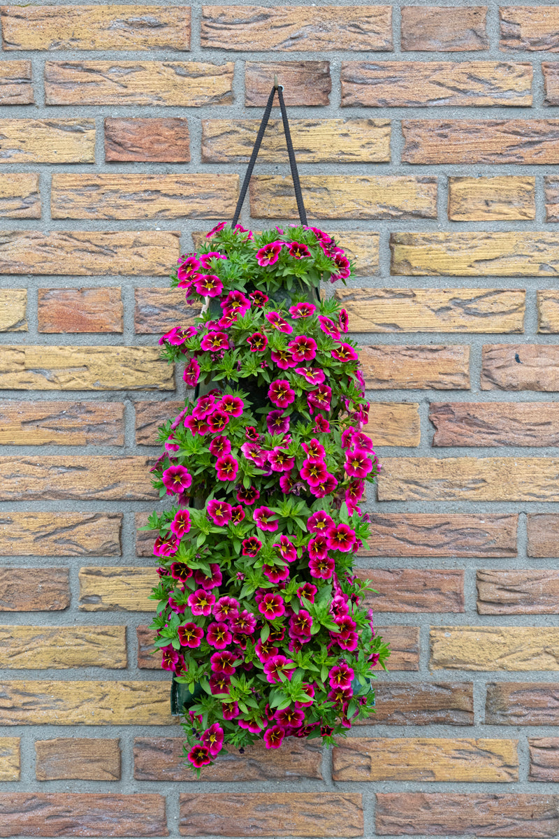 Wandhanger &