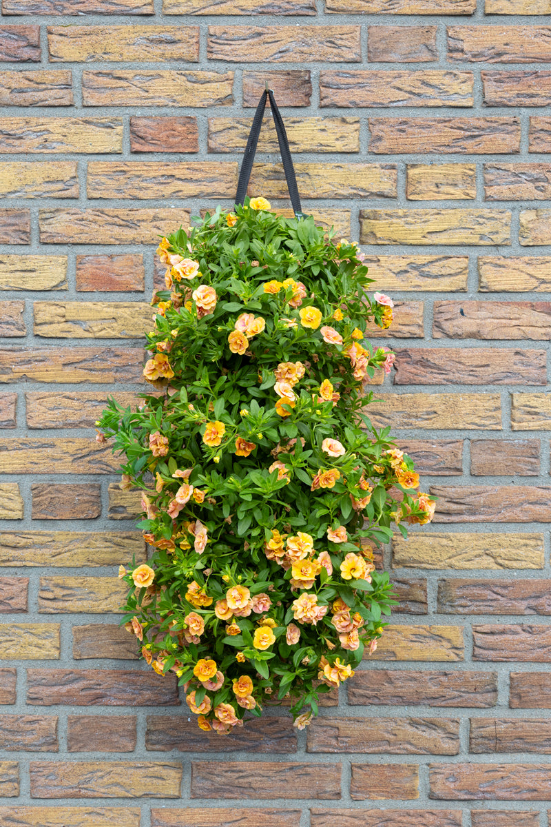 Wandhanger &