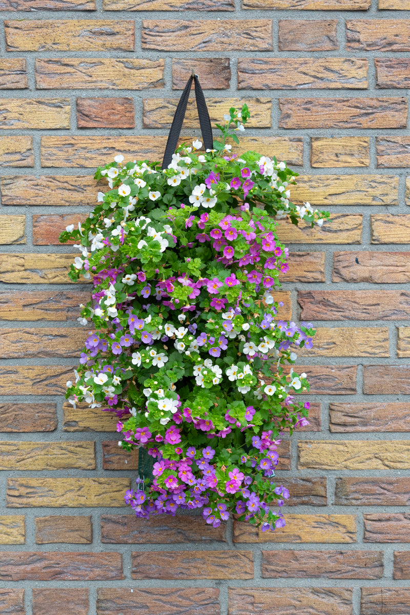 Wandhanger &