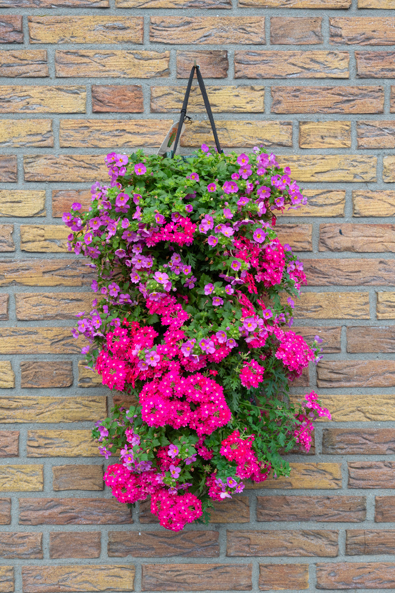 Wandhanger &