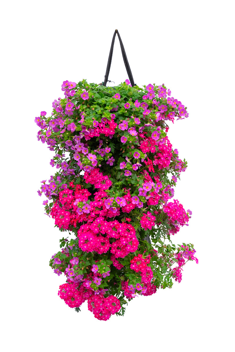 Wandhanger &