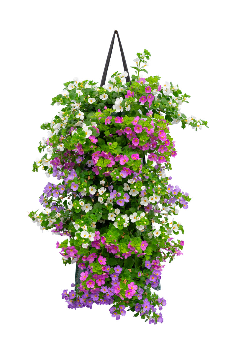 Wandhanger &