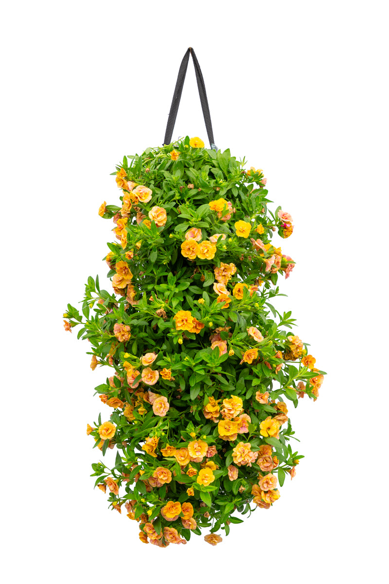 Wandhanger &