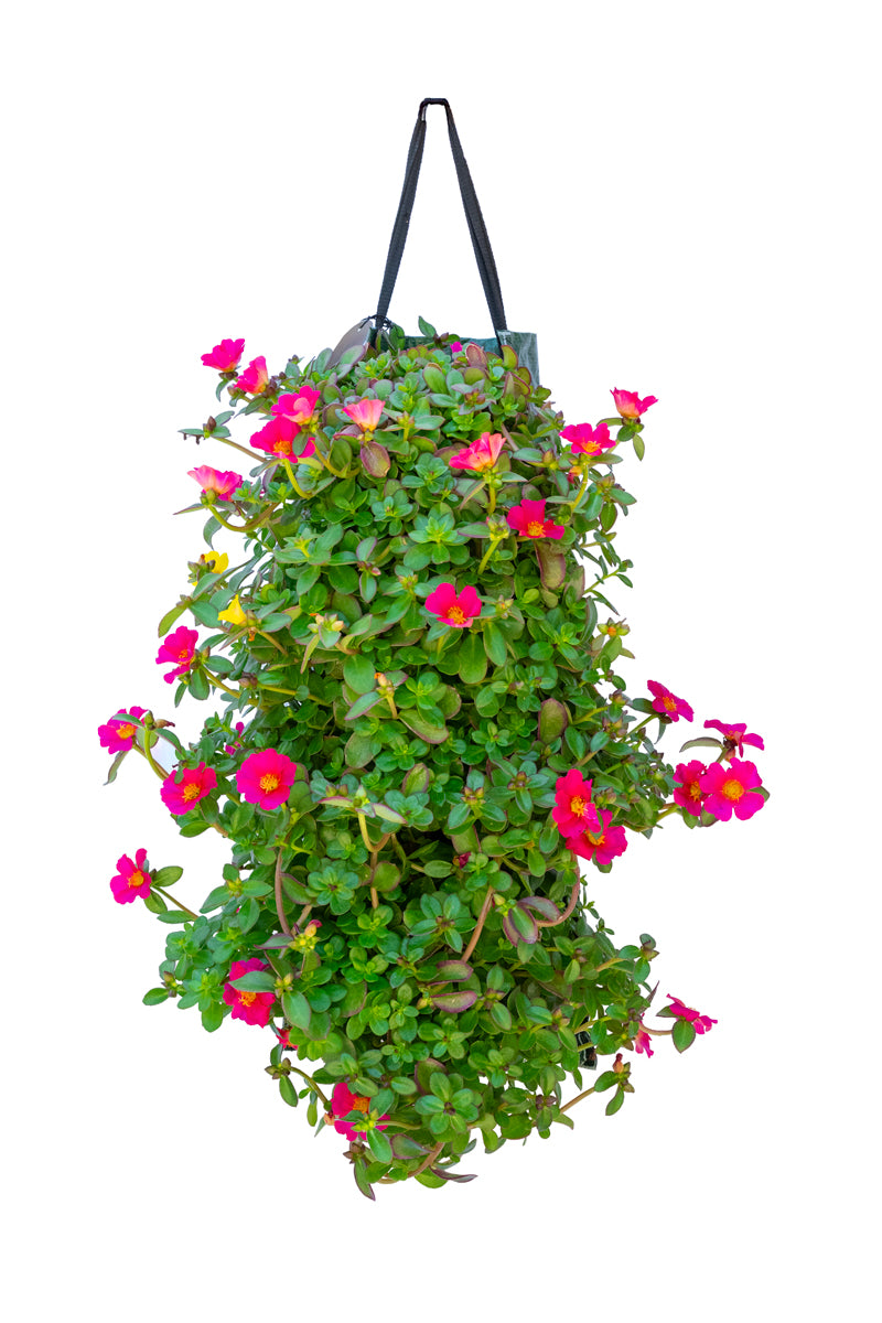Wandhanger &