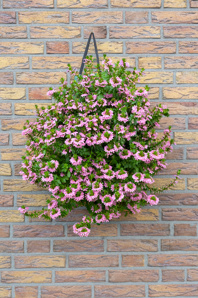 Wandhanger &