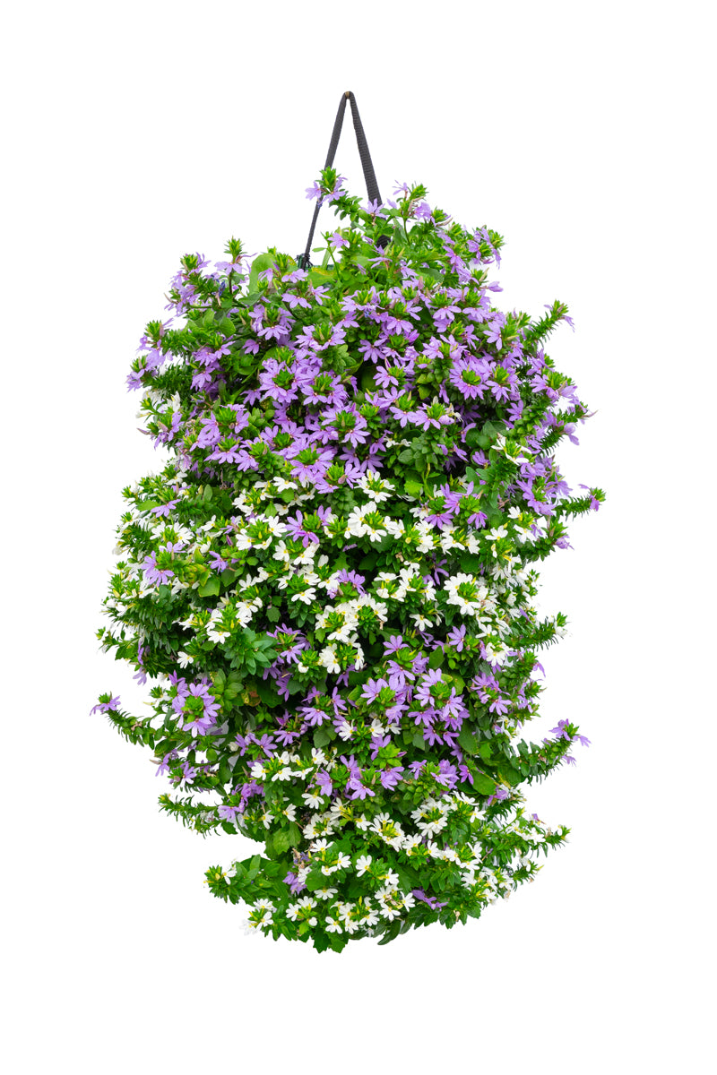 Wandhanger &