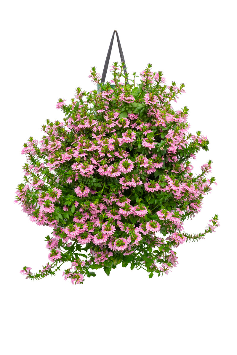 Wandhanger &