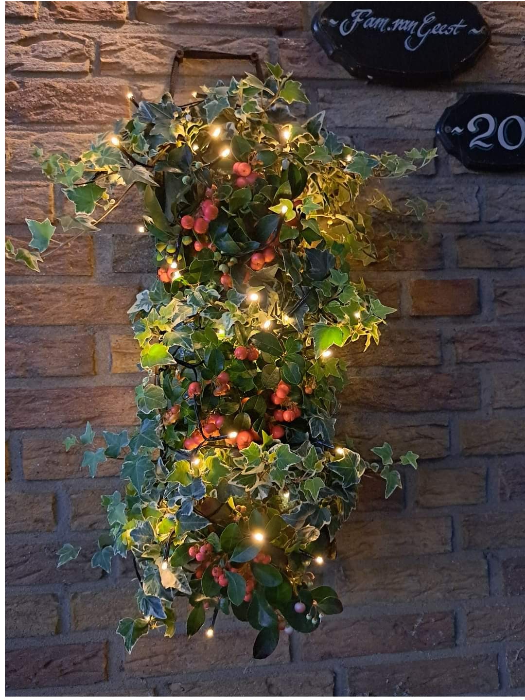 50 led verlichting