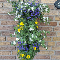Wandhanger 'Mix Carnaval'