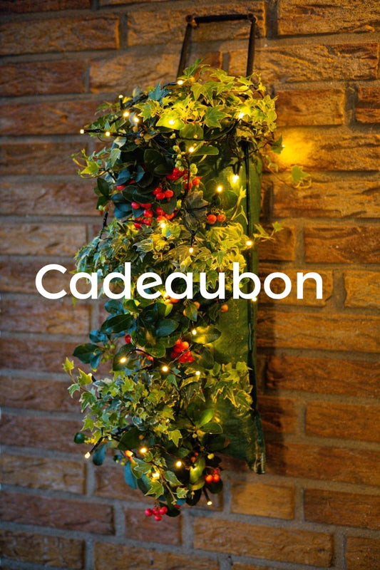 Wandhangers.nl Cadeaubon