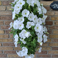 Wandhanger 'Petunia wit'