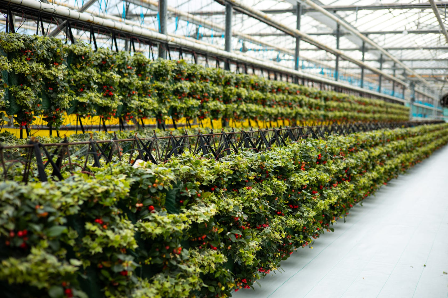Kerstwandhanger met verlichting (Uitverkocht!)