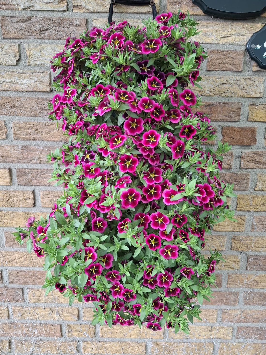 Wandhanger &