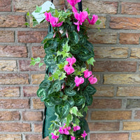 Wandhanger cyclaam roze met Hedera
