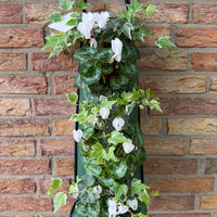 Wandhanger Cyclaam wit met Hedera